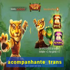 acompanhante trans de santos